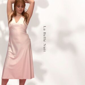 La Belle Nuit Long Slip Dress